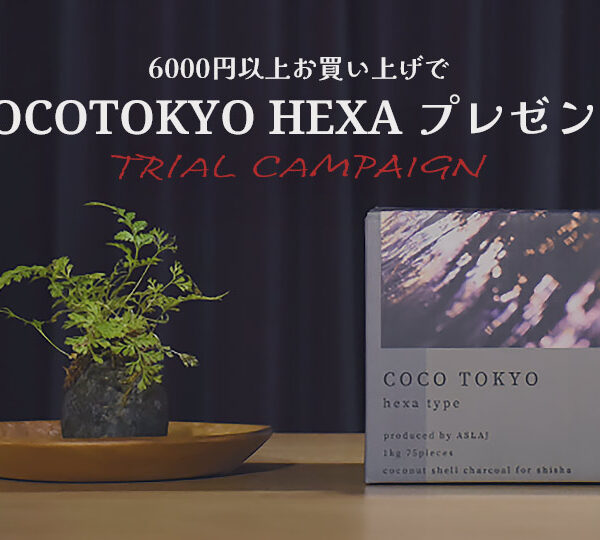 【2月キャンペーン】COCOTOKYO HEXA プレゼントキャンペーン開催！
