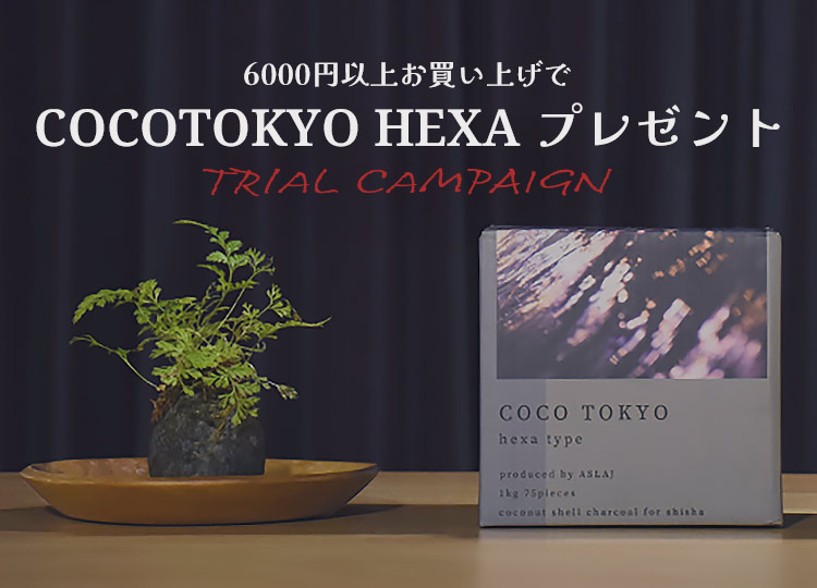 2月キャンペーン】COCOTOKYO HEXA プレゼントキャンペーン開催 